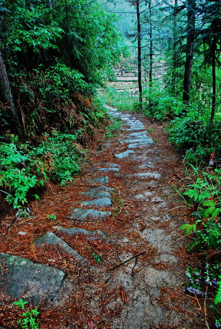 dsc_0125.jpg