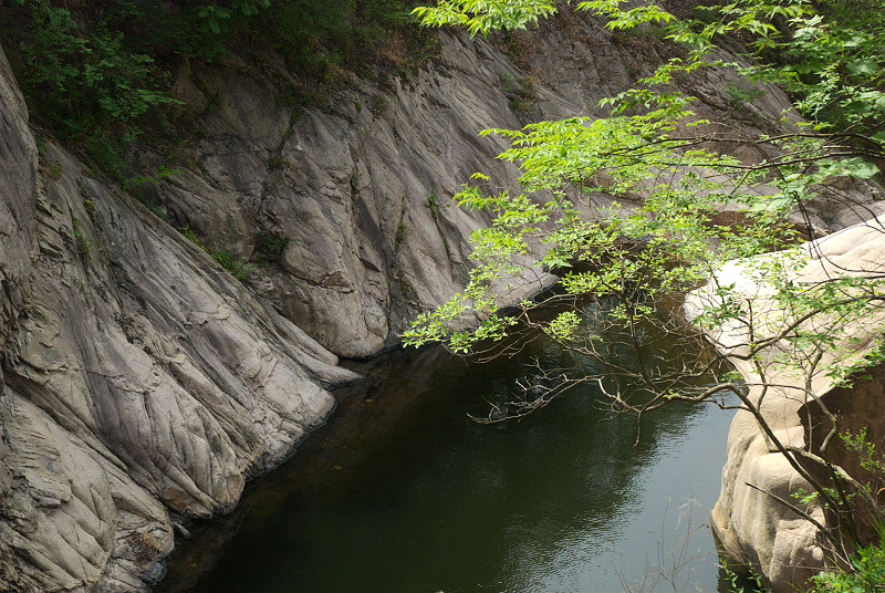 dsc_0177.jpg