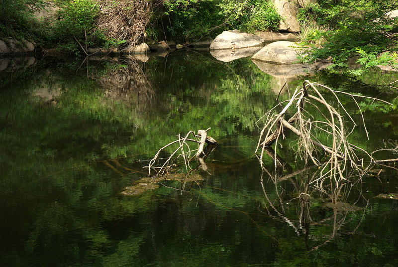 dsc_0210.jpg