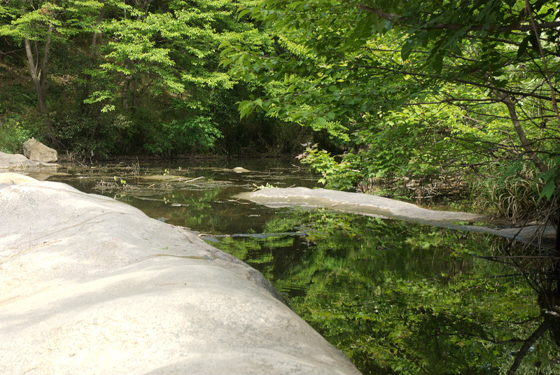 dsc_0221.jpg