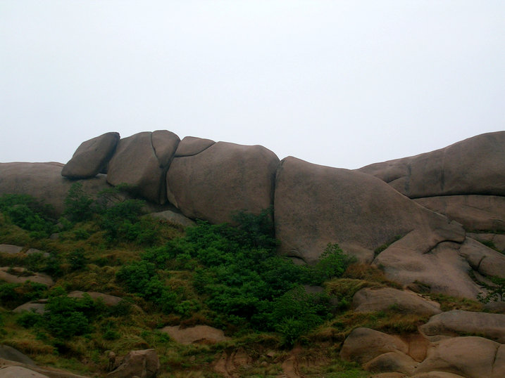 144.jpg