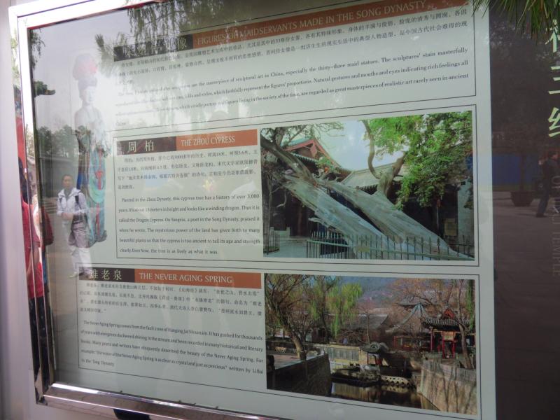 sdc10358.jpg