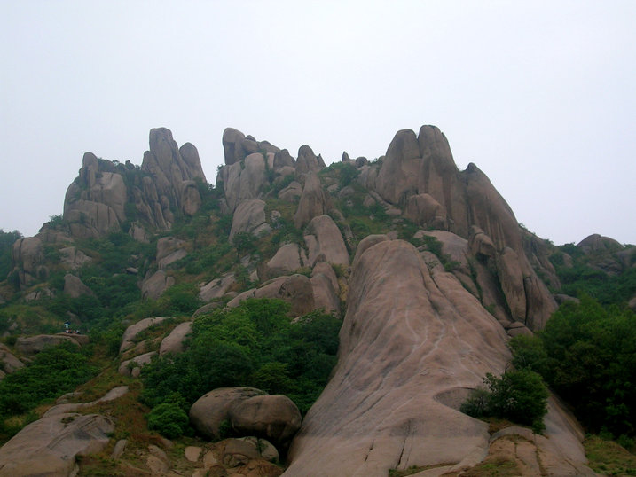146.jpg