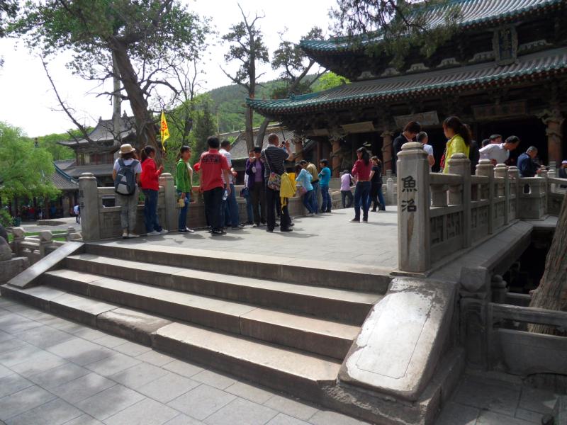 sdc10380.jpg