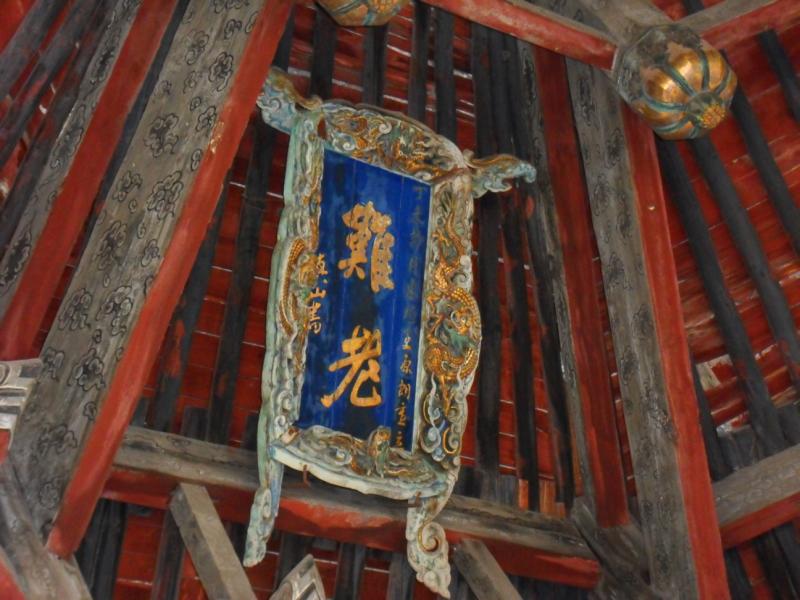 sdc10393.jpg