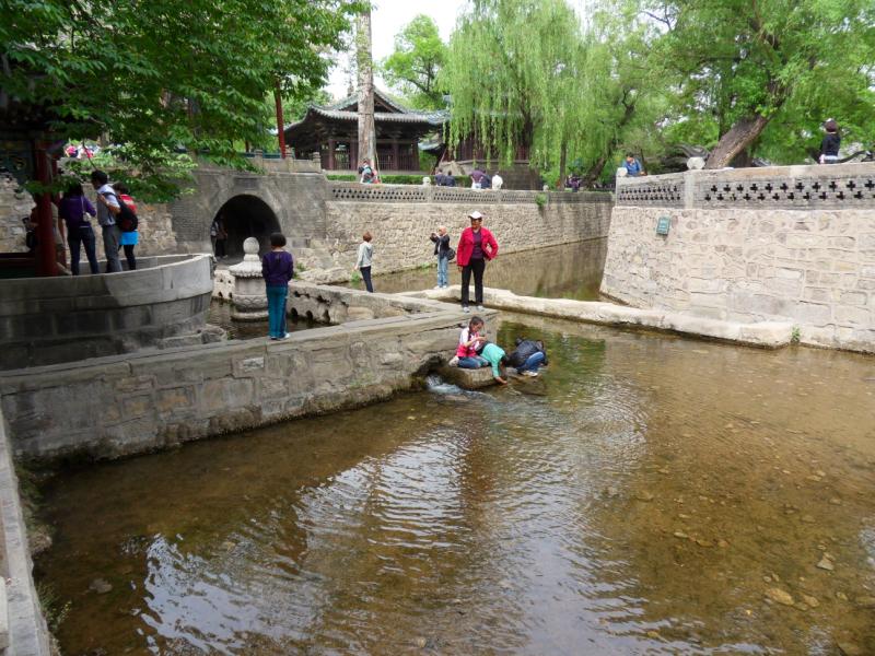 sdc10403.jpg