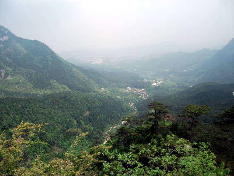 dscf0668.jpg