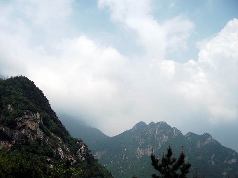 dscf0670.jpg