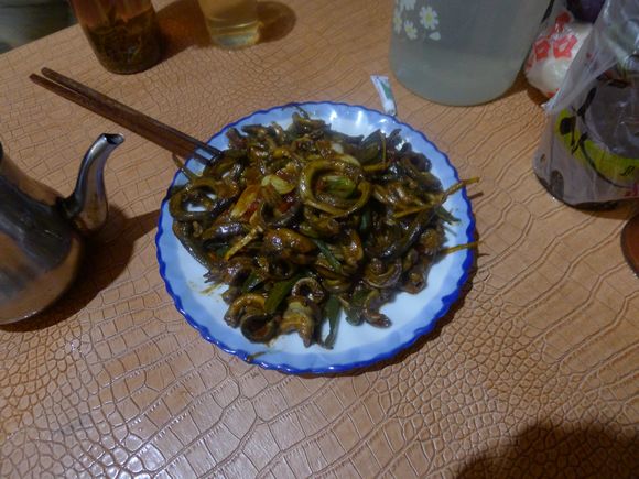 p1010903.jpg