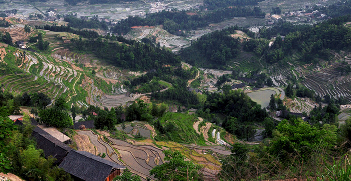 ȵ20110520 265.jpg