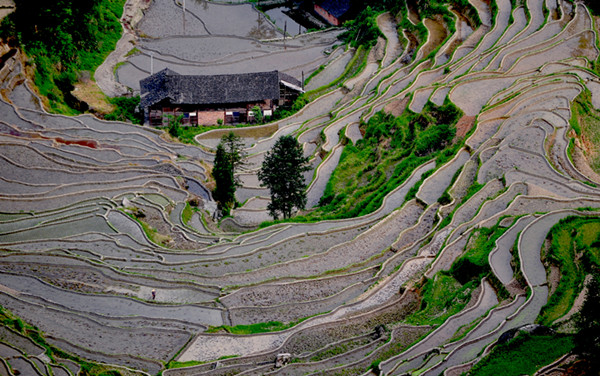 ȵ20110520 241.jpg
