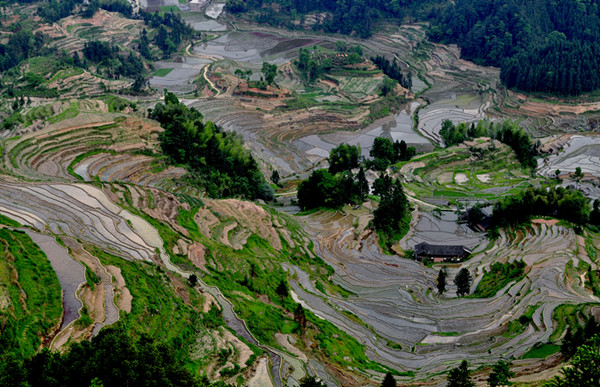 ȵ20110520 224.jpg
