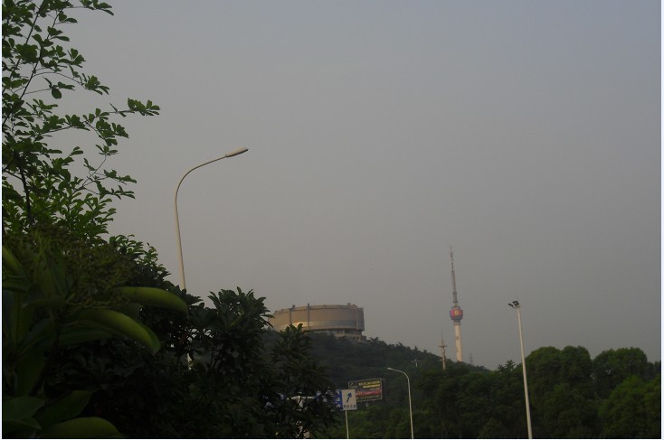 555.jpg
