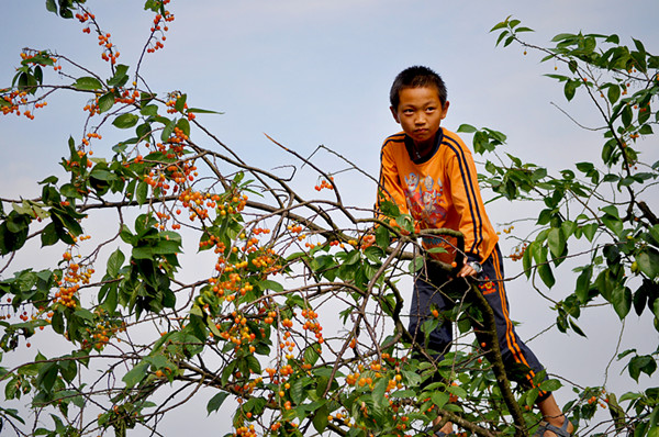 ȵ20110520 130.jpg