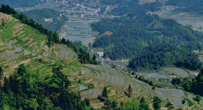 ȵ20110520 101.jpg