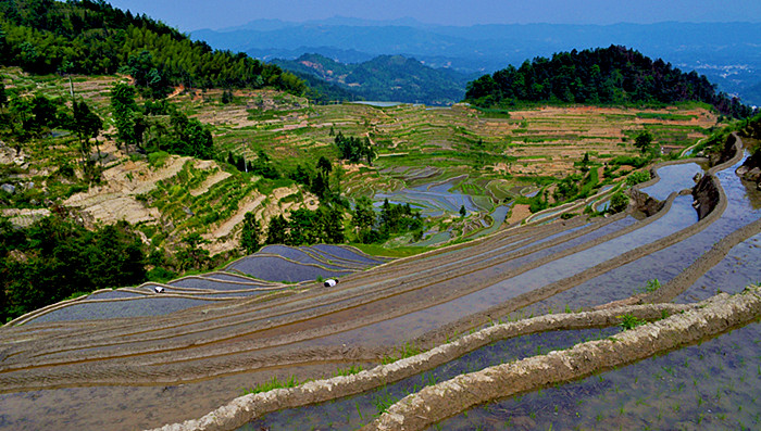 ȵ20110520 093.jpg