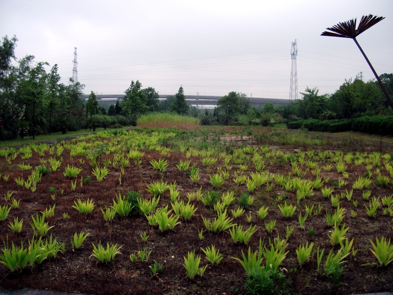 dscf1078.jpg