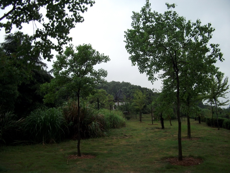 dscf1079.jpg