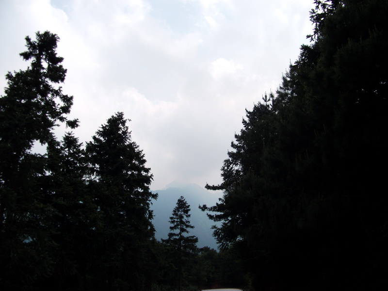 dscf0674.jpg