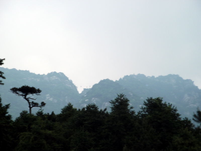 dscf0675.jpg