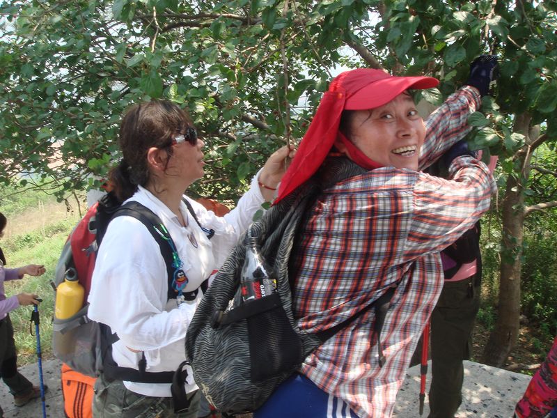 dsc07575.jpg