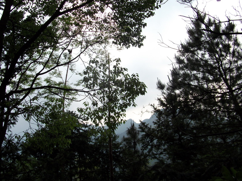 dscf0679.jpg