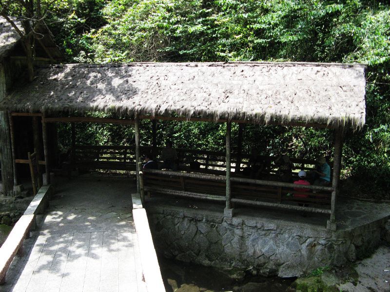 neo_img_img_3491.jpg
