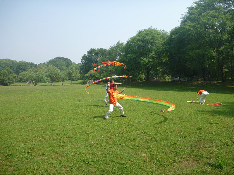 p1060663_.jpg