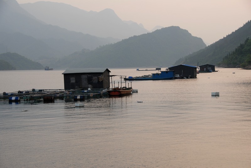 dsc_0187.jpg
