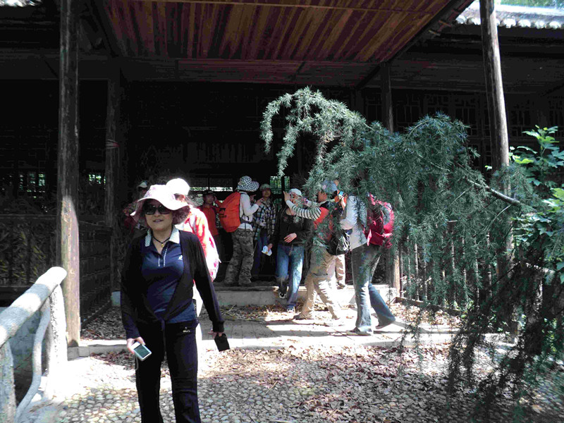 dsc04029_.jpg