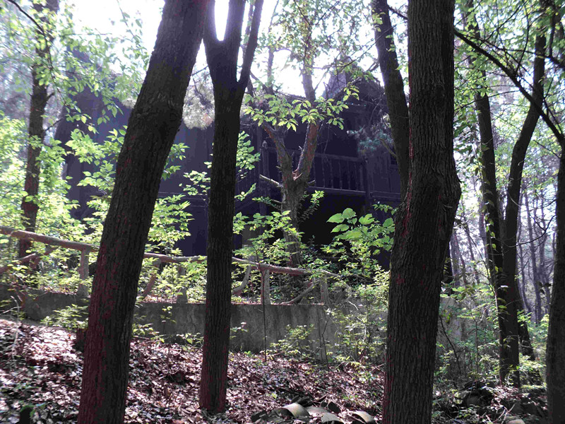 dsc04033_.jpg
