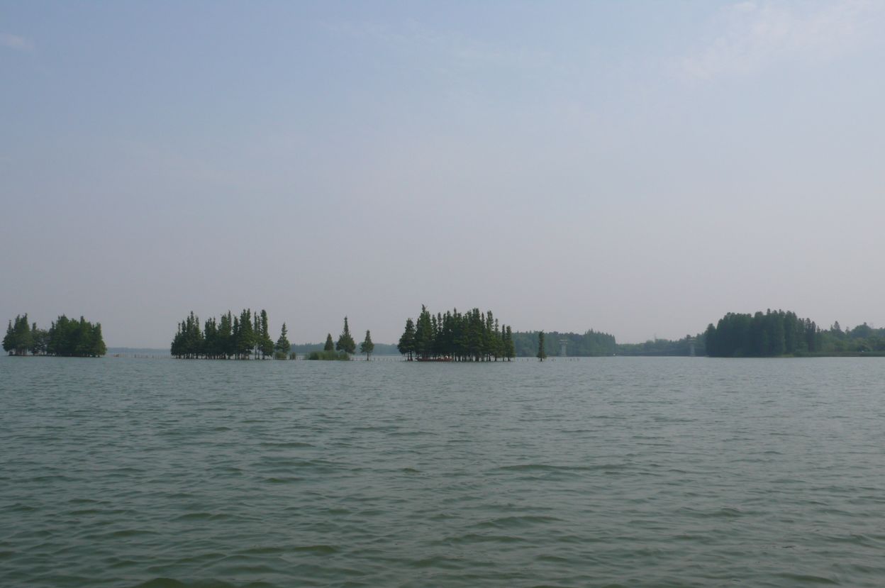 l1100511.jpg