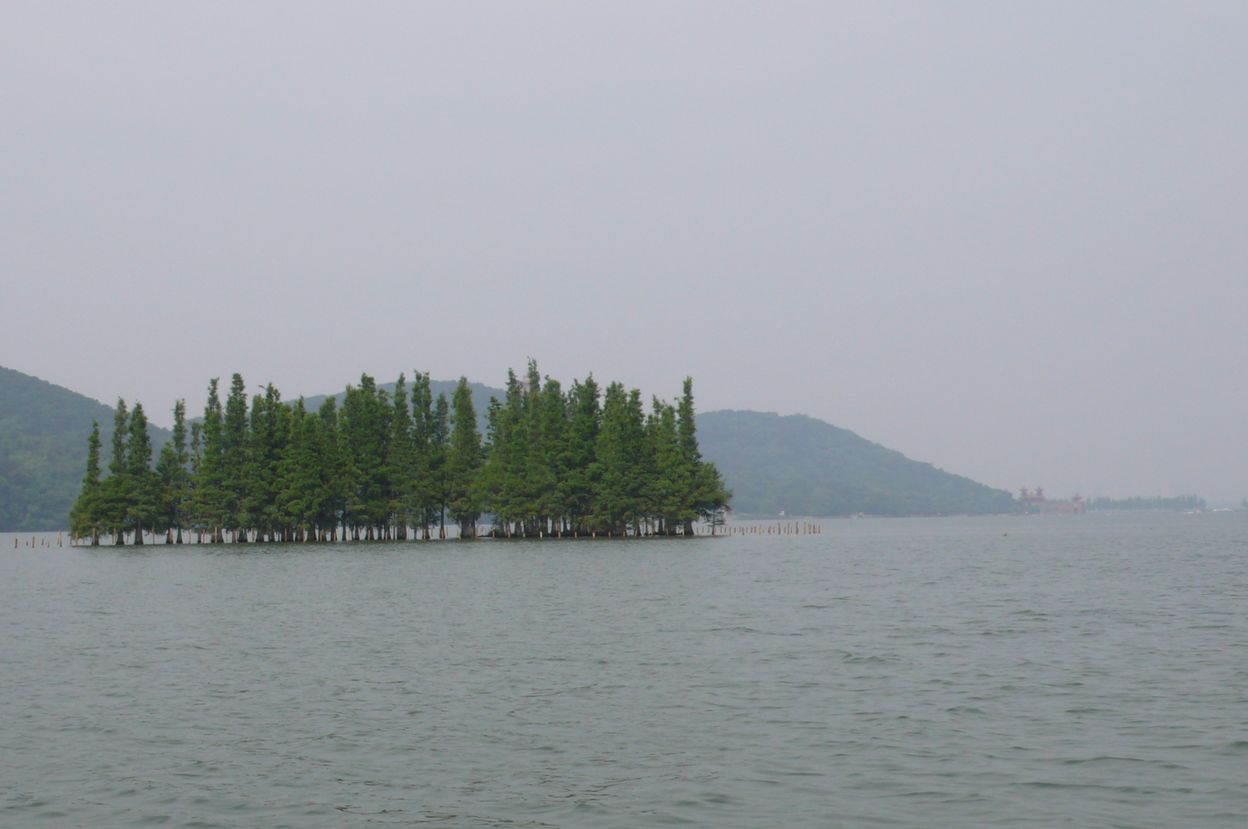 l1100517.jpg