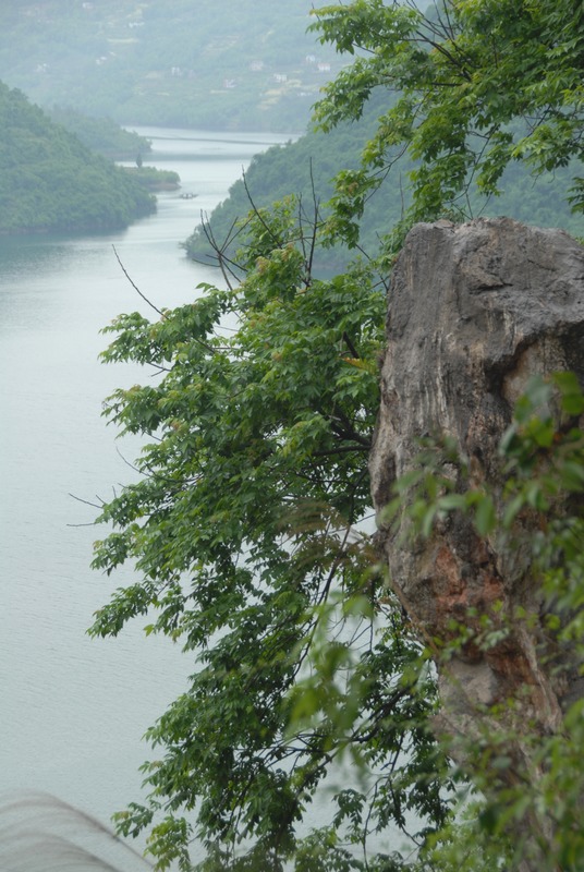dsc_0485.jpg
