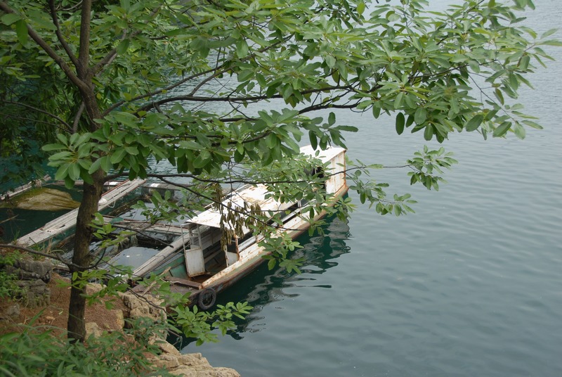 dsc_0791.jpg