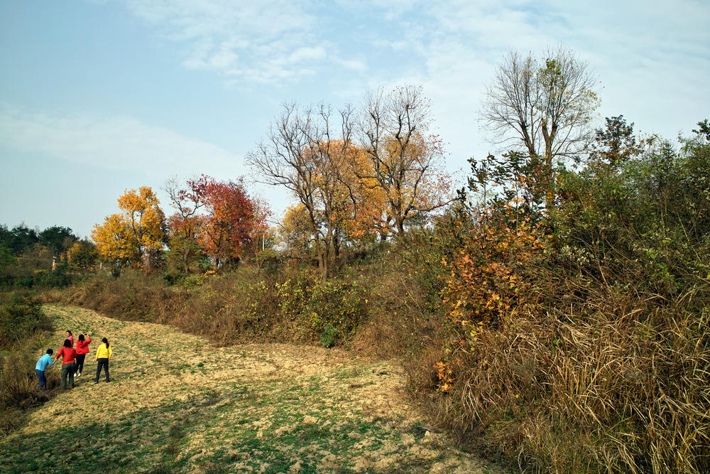 СڿҶ.jpg
