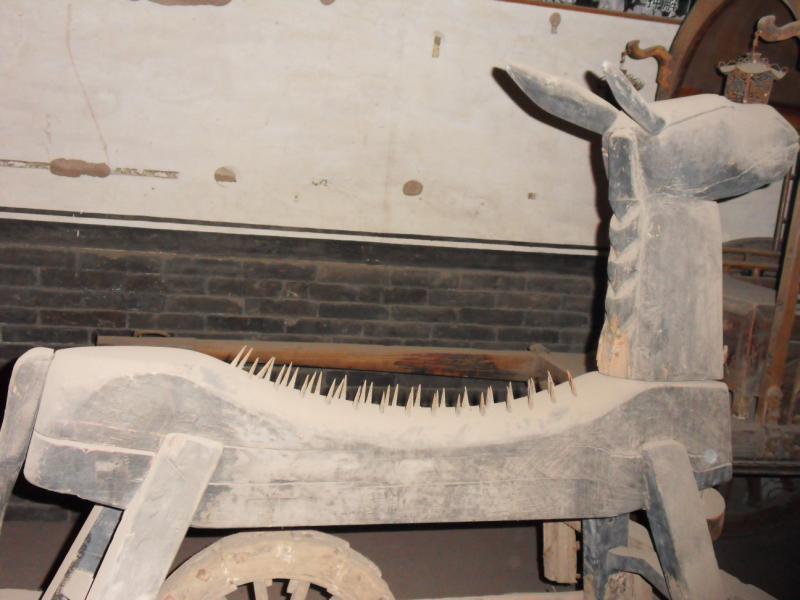 sdc10613.jpg