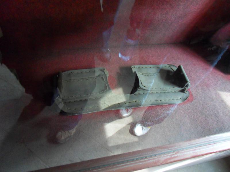 sdc10618.jpg