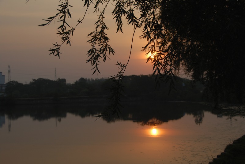 dsc_0216.jpg