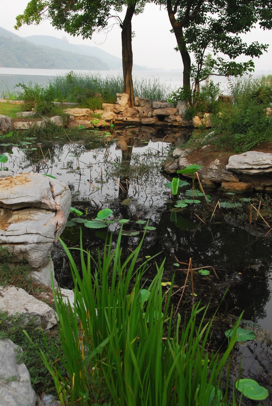 dsc_0320.jpg