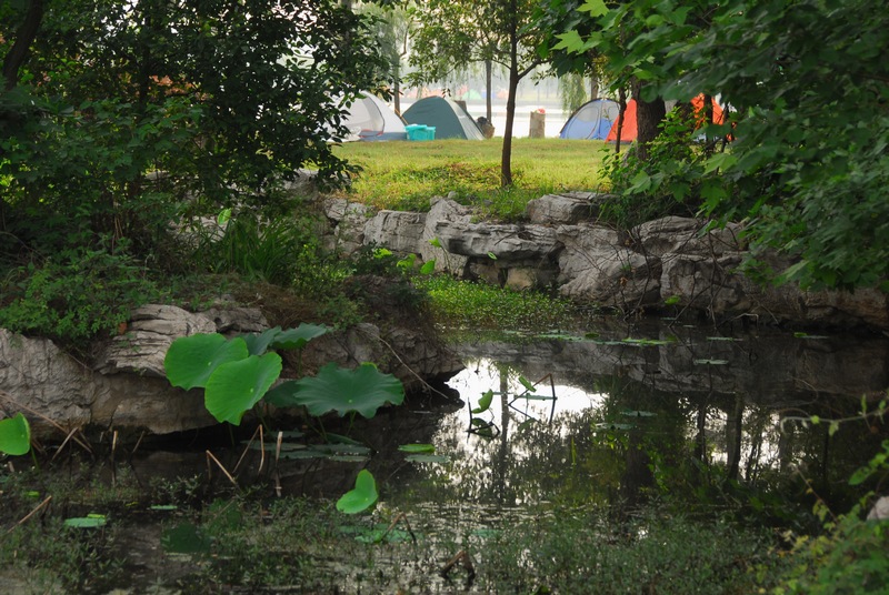 dsc_0328.jpg