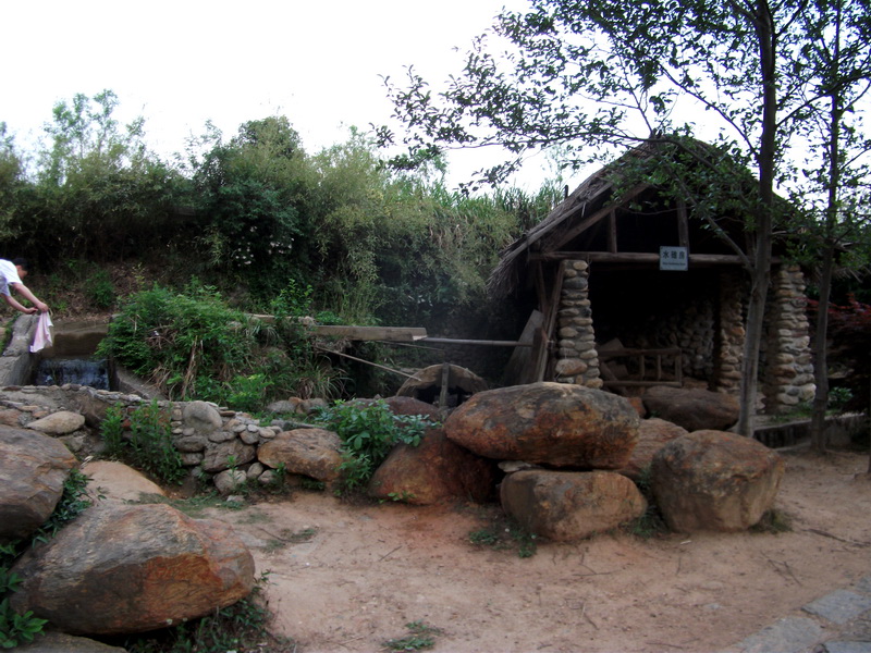 dscf0686.jpg