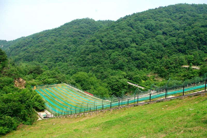 imgp1011.jpg