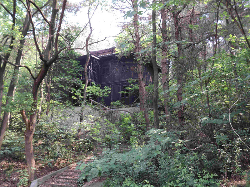 dsc04035_.jpg