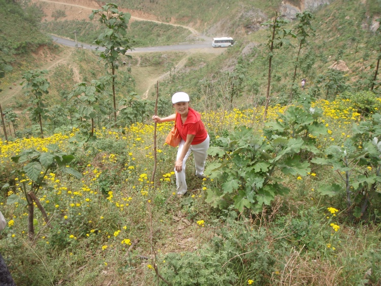 zhao7.jpg