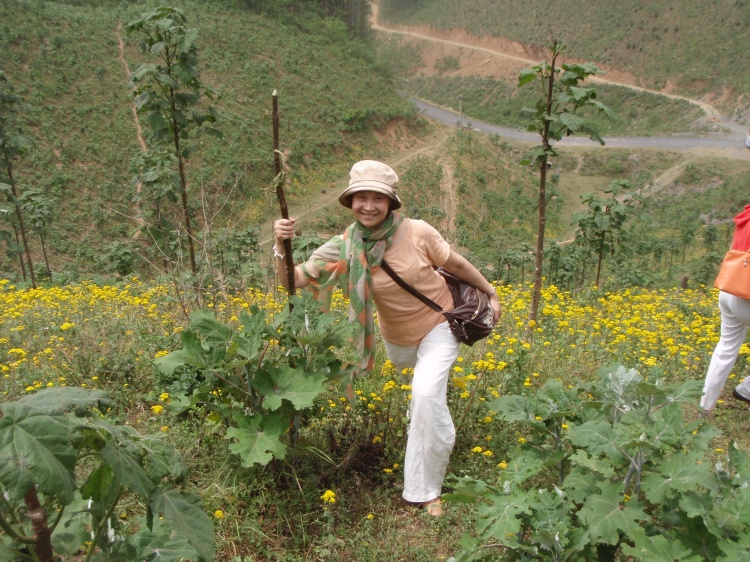zhao8.jpg