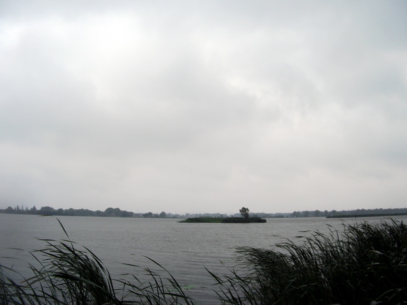 dscf1103.jpg