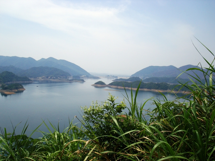 dsc01875.jpg