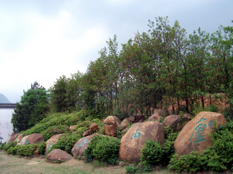 dscf0692.jpg