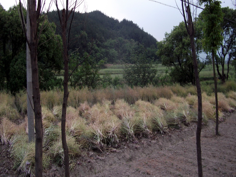 dscf0697.jpg